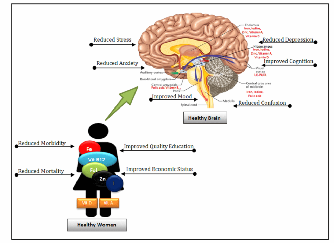 Micronutrients for Women Health